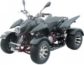 2011 Triton Carbon 400 photo